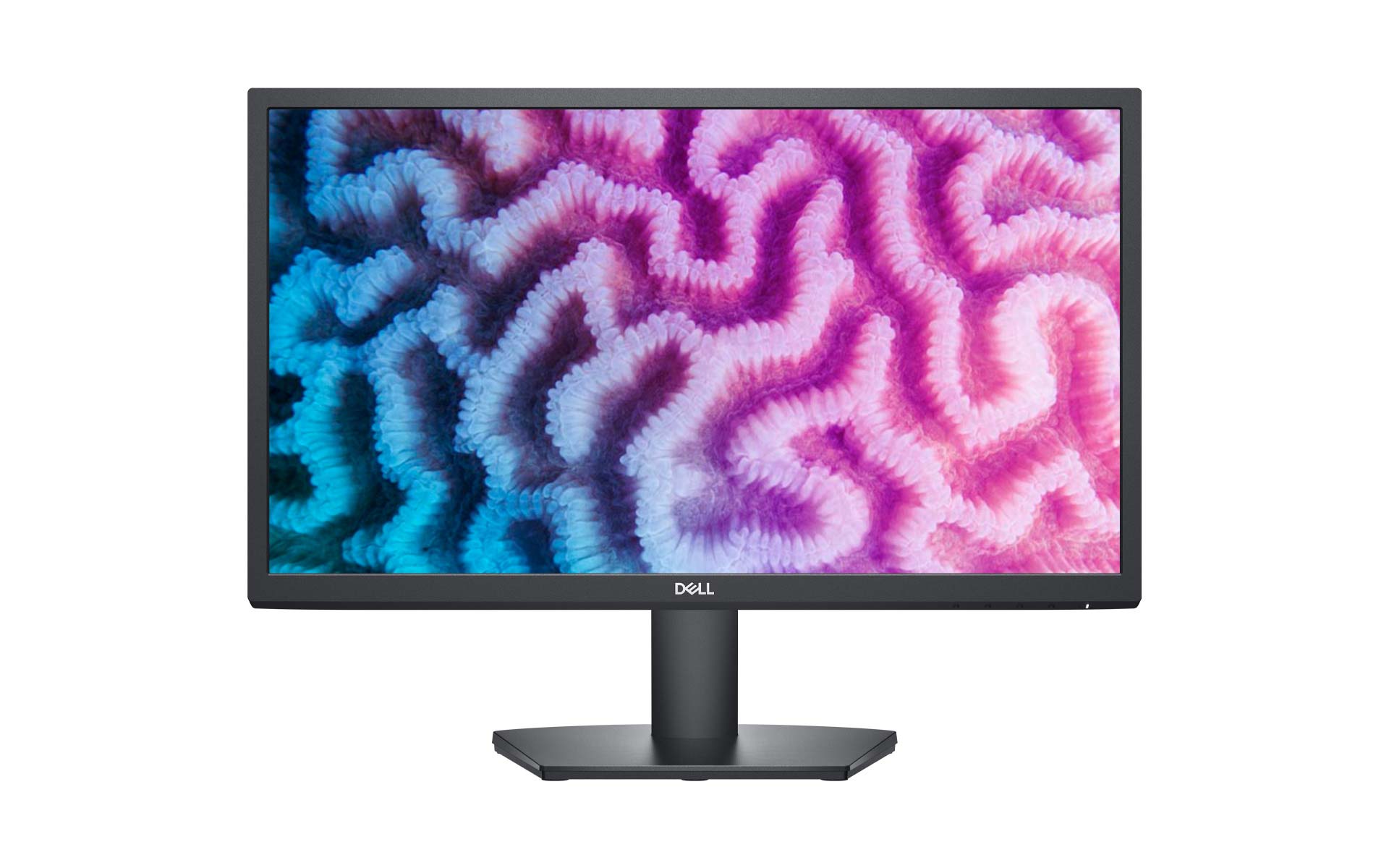 Dell 22 Monitor SE2222H Dell 22 monitor se2222h